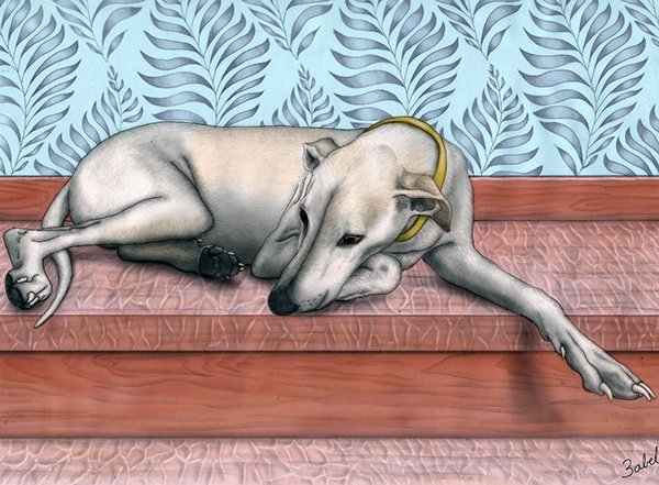 Galgo con técnica mixta