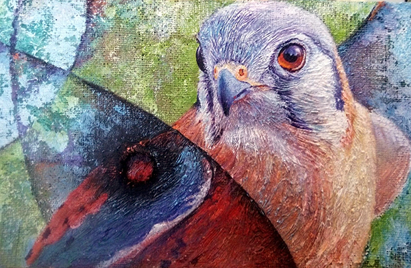 Aguilucho herido al óleo con textura