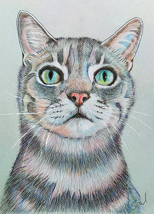 Retrato gato rayas