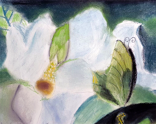 Nenufar pintado por niña 7 años