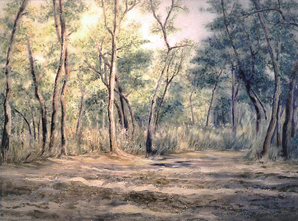 Paisaje con textura El Bosque