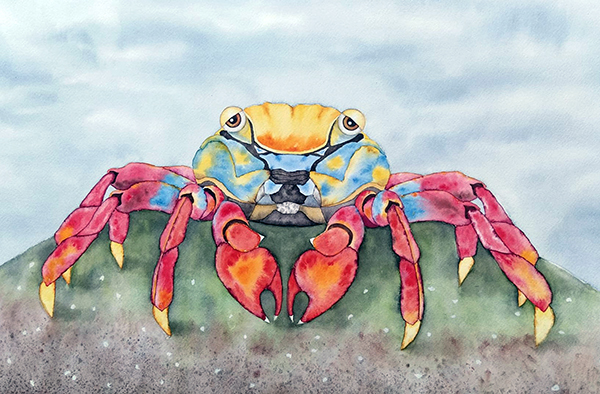Acuarela cangrejo