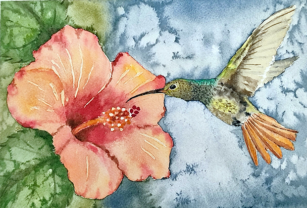 Colibrí con flor