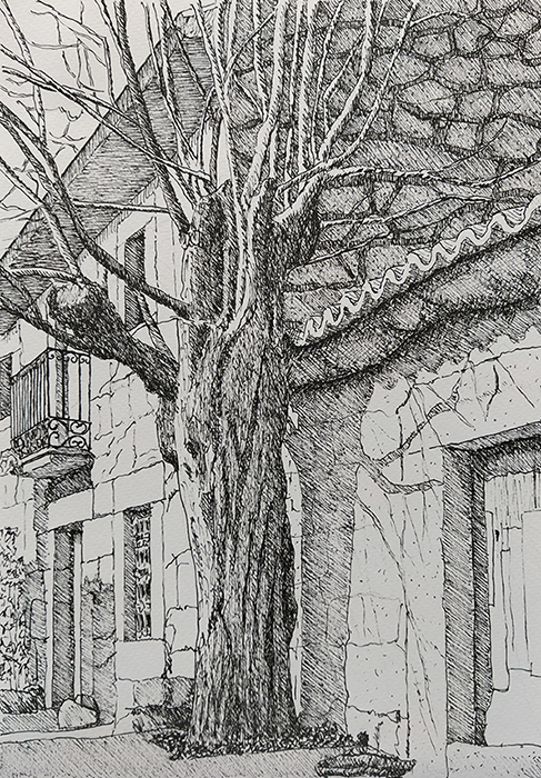 paisaje a tinta